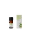 Tree of Life Essential Oil Tea Tree 5ml