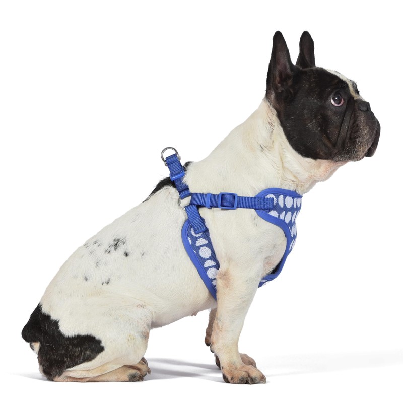 The Dodo Dog Harness, Blue Dodo Print, Size Small: Easy