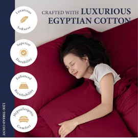 Ashton Sheets 100% Egyptian Cotton Sheets Queen Size - 1200 Thread Count 4 PC Queen Sheet Set Egyptian Cotton, Sateen Weave Luxury Sheets Queen, High Thread Count Sheets, 17" Deep Pocket - Burgundy