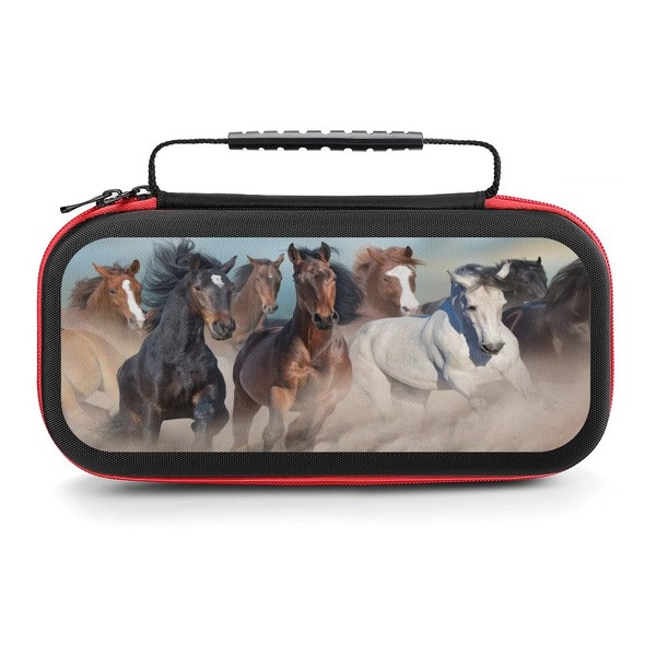 AoHanan Switch Carrying Case with 20 Games Cartridges Hard Shell