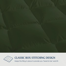 Blue Ridge Home Fashions Comforter Breathable Microfiber Duvet Insert, Summer Cooling Winter Warm Reversible Down Alternative Quilt Comforter for All Season, Full/Queen, Olive/Sage