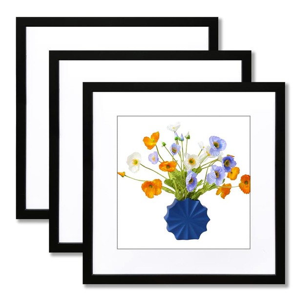 THREELOVE 16x16 Frame Black, Display Picture 12x12 with mat or