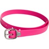 Sprenger BioThane Spur Strap, Stainless Steel - 45 cm, Pink