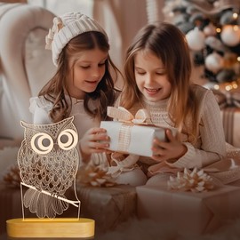 OkiyiD Owl Night Light LED Illusion Lamp for Home Bedroom Decoration, Owl Soft Warm White Table Lamp for Birthday Christmas Gifts