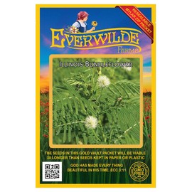 Everwilde Farms - 800 Illinois Bundleflower Native Wildflower Seeds - Gold Vault Jumbo Seed Packet