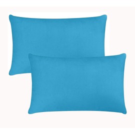 Augld 2Pack Outdoor/Indoor Throw Pillow Cover, Waterproof Solid Pillow Case Aqua, 12"x20"