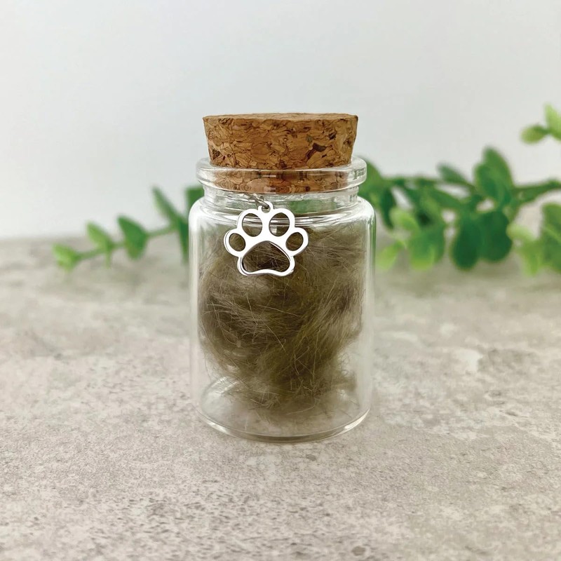 Pet Keepsake Kit - Memory Box, Clay Paw Print Impression,