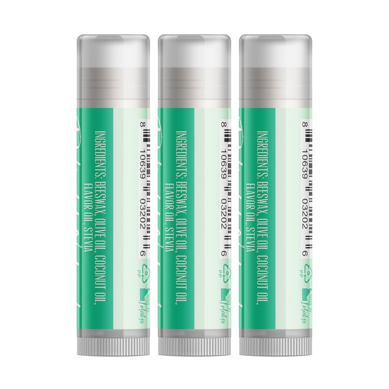 Delight Naturals Mint Chip Lip Balm - Set of Three