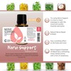 Rocky Mountain Oils Nerve Support Essential Oil Blend with 100%