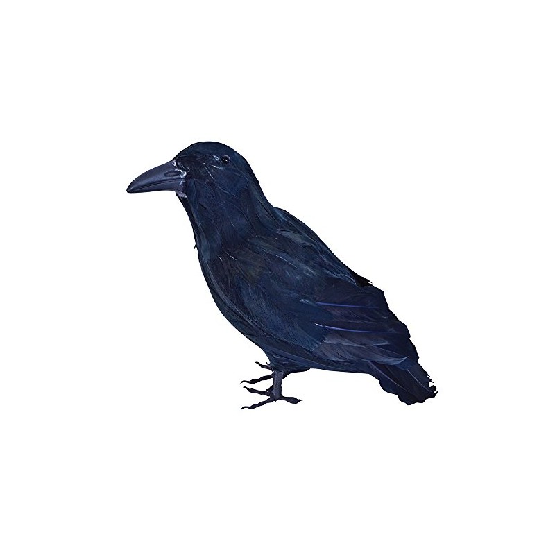 Bristol Novelty BA702 Feather Raven, Unisex-Adult, Black, One Size
