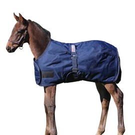 STORM SHIELD Euro Fit Bellyband Foal Horse Turnout Blankets | Mini Horse Blanket | Turnout Blankets for Horses Waterproof | Foal Blanket | Medium Weight Winter Horse Blanket | Color Navy | Size 45-52