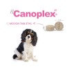 Holland Canoplex Jr. Vitamínico Mineral con ácidos grasos Omega 3,