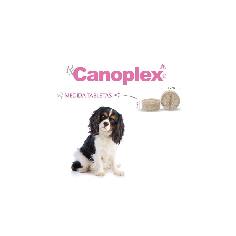Holland Canoplex Jr. Vitamínico Mineral con ácidos grasos Omega 3,