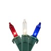 Northlight Patriotic Mini Christmas Lights - Red, White and Blue