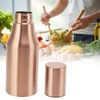 Oil Dispenser Bottle Stainless Steel Drip Proof Design Dustproof Cover