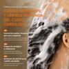 QUARXERY Champú Control de Aceite y Anticaspa Sauvage Freedom Shampoo
