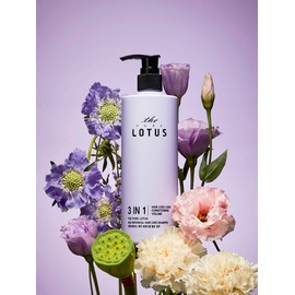 Botanical Hair Loss Shampoo 420ml / 보태니컬 탈모 샴푸 420ml