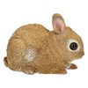 Figuren Shop GmbH Garden Rabbit Figurine - Weatherproof & Hand-Painted