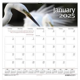 House of Doolittle 2025 Monthly Wall Calendar, Earthscapes Wildlife, 12 x 12 Inches, January - December (HOD3731-25)