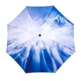 LANBRELLA Umbrella Compact Inverted Folding Umbrellas Auto Open Close - H2.20.Glacier