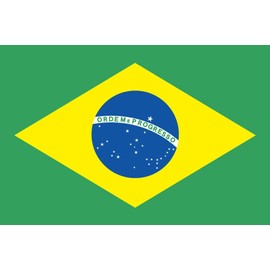 Brazil Flag [Mini Flag Pole with Suction Cup with high-grade TR]
