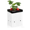 Zenrok 50-Pack 3 Gallon Grow Bags, Black & White Panda