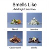 Aronica Reed Diffuser Oil Refill, 5.07oz, Midnight Jasmine - Fig