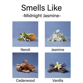 Aronica Reed Diffuser Oil Refill, 5.07oz, Midnight Jasmine - Fig Fragrance Essential Oil Diffuser Fig Essential Oils Refills for Home, Flower Market Scent, Room Oil Fragrance