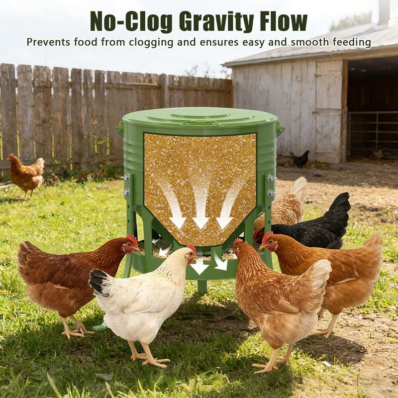 20 Lbs Metal Chicken Feeder, 12 Port No Waste Automatic