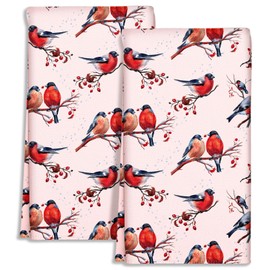 Miss Adola Cute Kitchen Towels Set of 2 - Dish Towels 18 x 26 Inch Microfiber Tea Towel for Home Decorative Birds Spring Soft Reusable & Absorbent Colorful Aesthetic Vintage Design