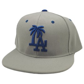 Headlines Los Angeles New Leader LA Palm Gray Blue White Era Snapback Hat Cap