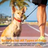 Chew Resistant Dog Leash with Hooks, 60 Inch Waterproof Metal