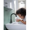 Cobbe Bathroom Faucets for Sink 3 Hole, 4 Inch with