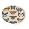 Metamorphosis Oval Platter