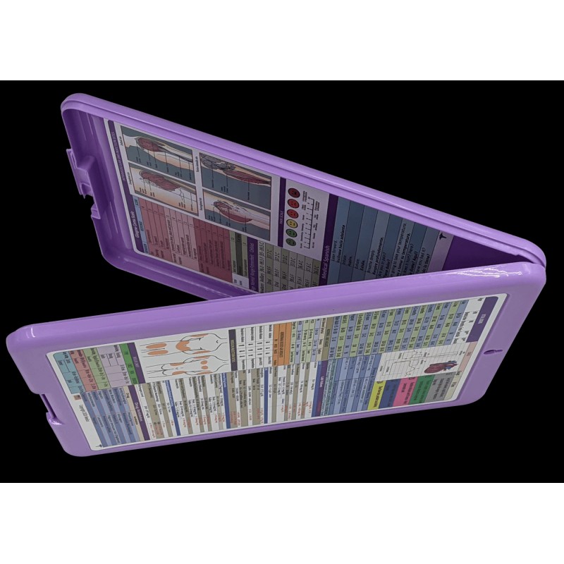 medics Nursing Clipboard -PURPLE -reference sheets -great for clinical