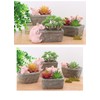 Youfui Home Decor Pot, Succulent Planter Flowerpot Decor for Home