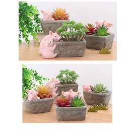 Youfui Home Decor Pot, Succulent Planter Flowerpot Decor for Home Office Desk (Rose Pig)