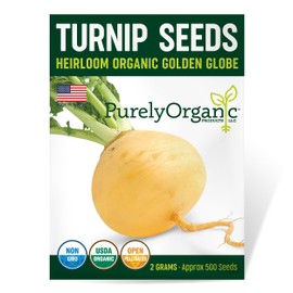 Organic Turnip Seeds (Golden Globe) - Approx 500 Seeds - USDA Organic, Non-GMO, Open Pollinated, Heirloom, USA Origin
