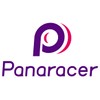 Panaracer Adult Dart Classic MTB Folding Tyre - Black, 26