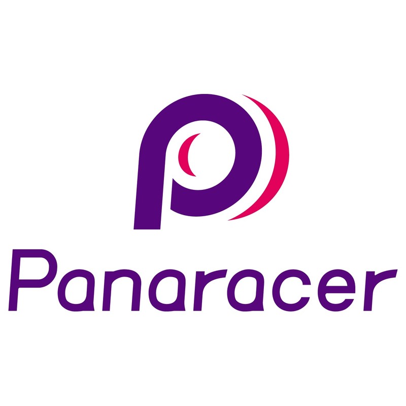 Panaracer Adult Dart Classic MTB Folding Tyre - Black, 26