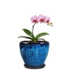 Ceramic Plant Pots With Saucer & Drainage Hole, 6 inch