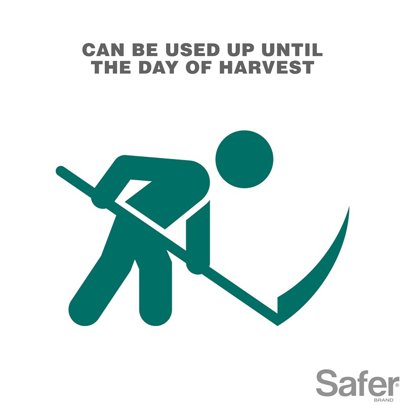 Safer 5118-6 Insect Killing Soap Concentrate - Insecticidal Soap for