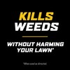 Ortho WeedClear Weed Killer for Lawns with Comfort Wand, Kills
