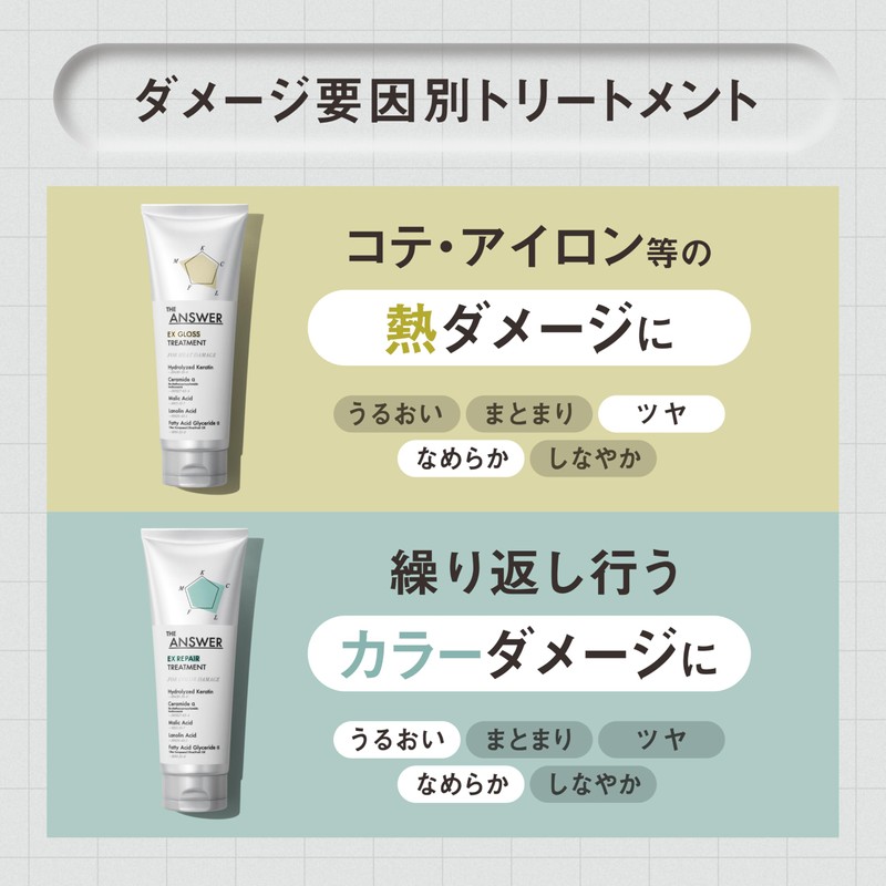 【THE ANSWER】 EX Moist Treatment FOR DAILY DAMAGE (Moisture, Manageability)