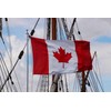 ANCONINE Canada Flag 6x10FT, Canadian National Flags with 3 Brass