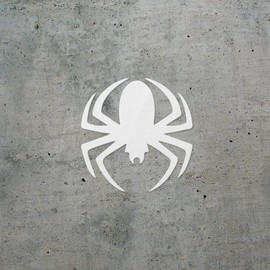 Transparent Decal Stickers of Animal Cold Year of Spider (White) Premium Waterproof Vinyl Decal Stickers for Laptop Phone Accessory Helmet Car Window Mug Tuber Cup Door Wall Dec ANDSKUS060681WH080322