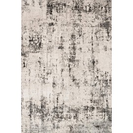Loloi ll Alchemy Area Rug, 7'-11" x 10'-6", Silver/Grey