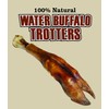 QT Dog Water Buffalo Trotter - Long-Lasting 100% Natural Single
