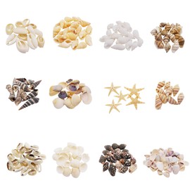 GraceAngie 1 Box 400pcs Small Tiny Sea Shells Mixed 0.7"-1.2" Beach Natural Seashell for DIY Jewelry Making, Home Decorations, Beach Theme Party, Fish Tank and Vase Fillers, 12 Styles