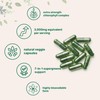 Chlorophyll 3,000mg Equivalent | 240 Veggie Capsules with Parsley, Peppermint,